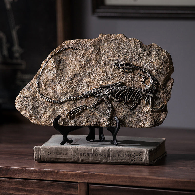 Dinosaur Fossil Sculpture